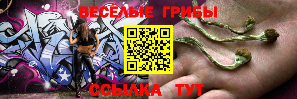 Псилоцибиновые грибы Psilocybine cubensis Чехов