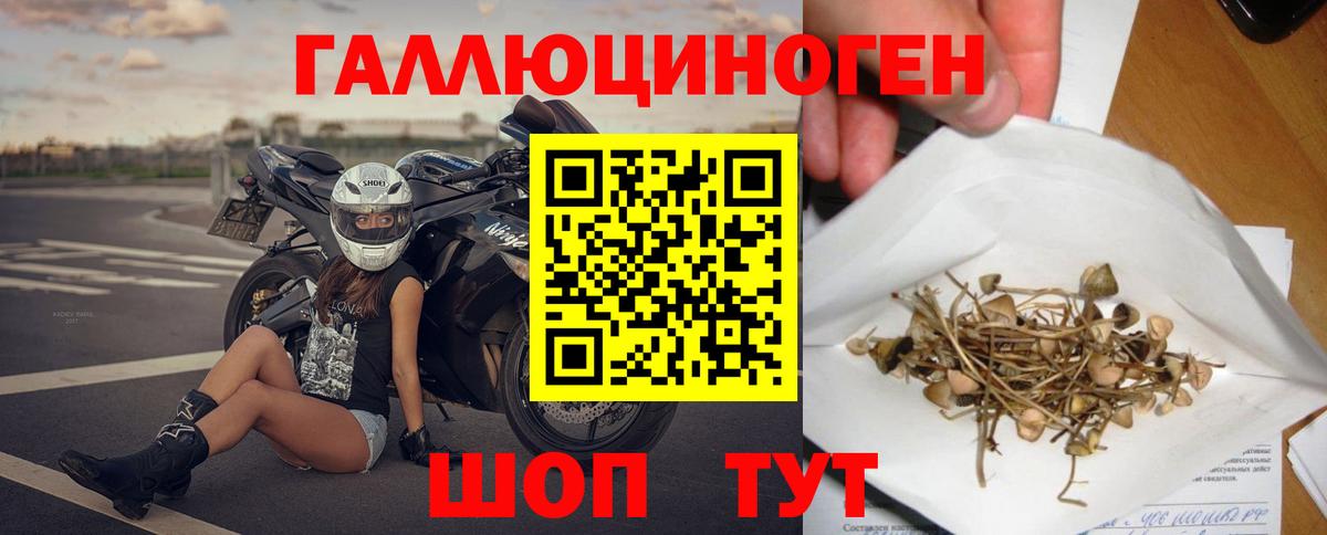 Галлюциногенные грибы MAGIC MUSHROOMS  Вход с VPN  Галлюциногенные грибы Cubensis  Чехов 